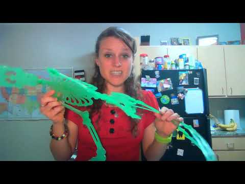 YouTube video